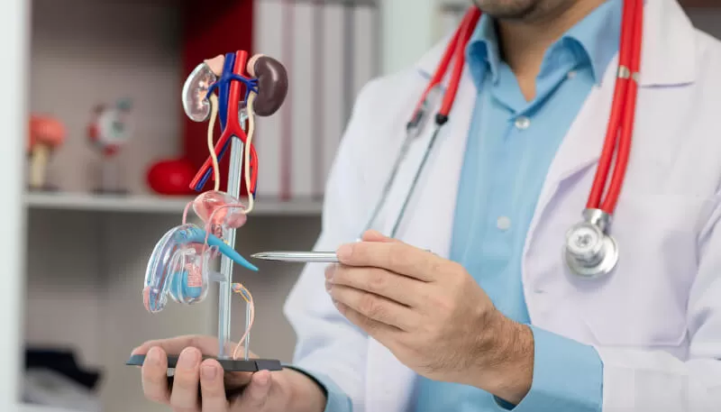 Urologie — Groupe ODM
